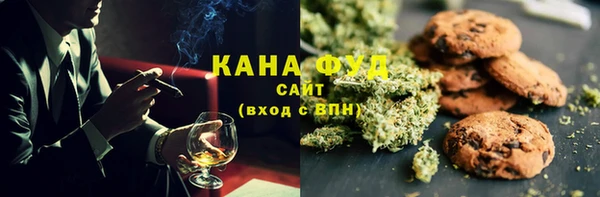 крисы Бородино