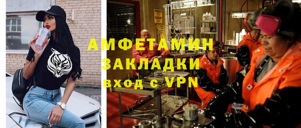 крисы Бородино