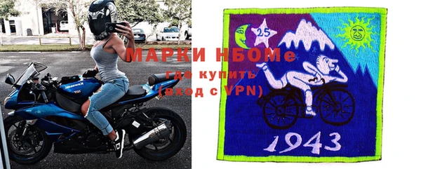 крисы Бородино