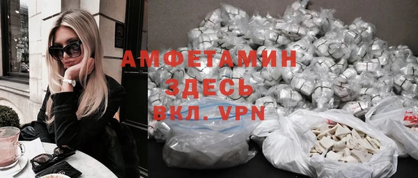 крисы Бородино