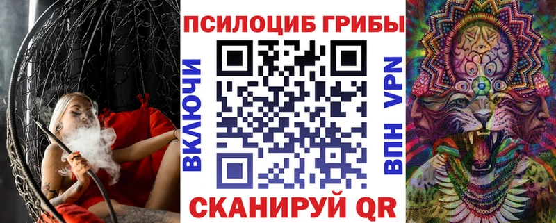 Галлюциногенные грибы Psilocybe  МЕГА tor  Минеральные Воды 